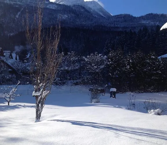 Stadlmann * Bad Ischl