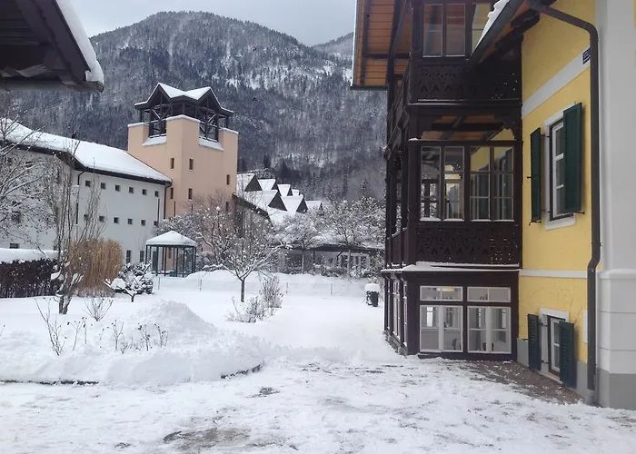 Stadlmann 巴德伊舍