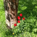 Stadlmann * Bad Ischl